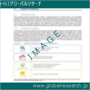 グローバルリサーチ調査レポートのイメージ